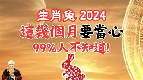 屬兔運勢2024|屬兔2024運勢前瞻：每月運程詳析